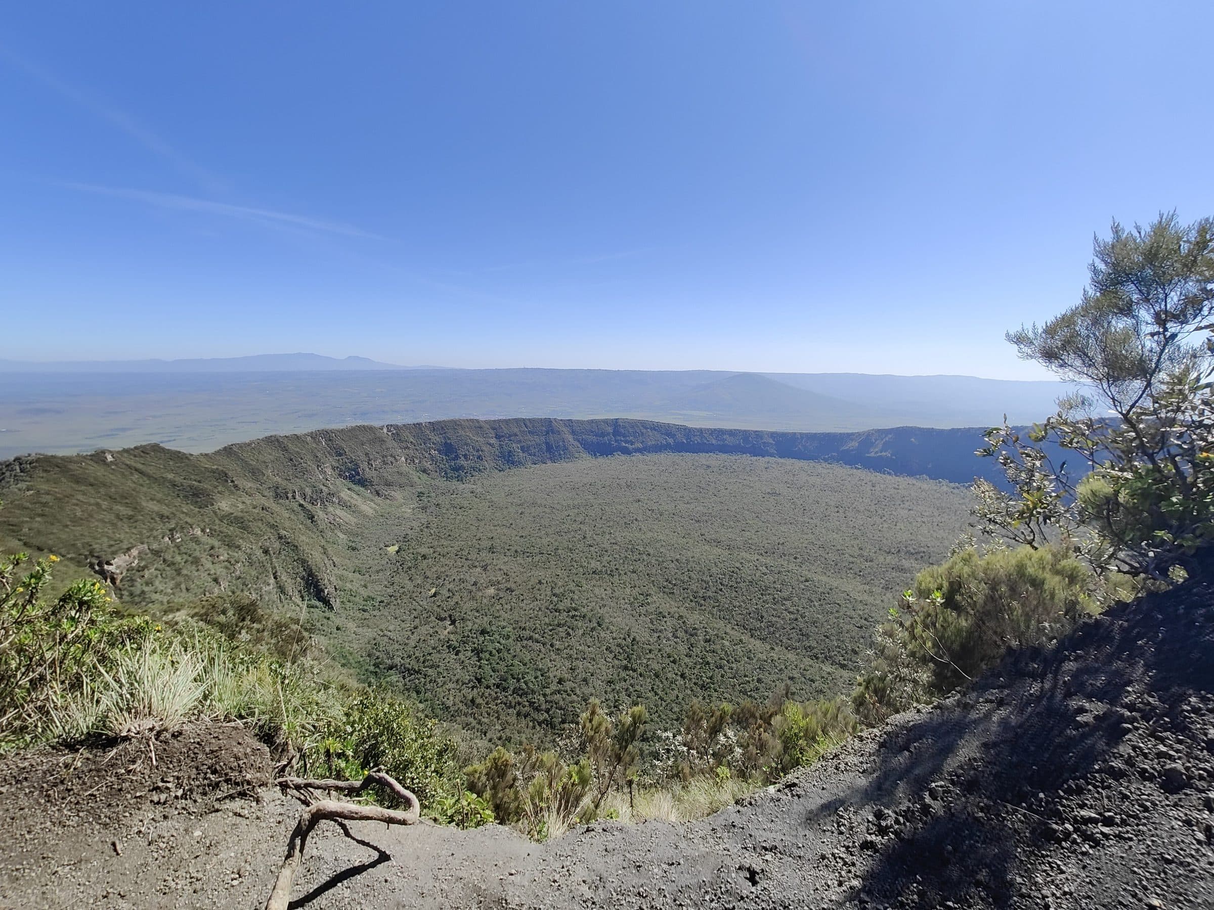 The forested crater of Mt. Longonot seen from the rim