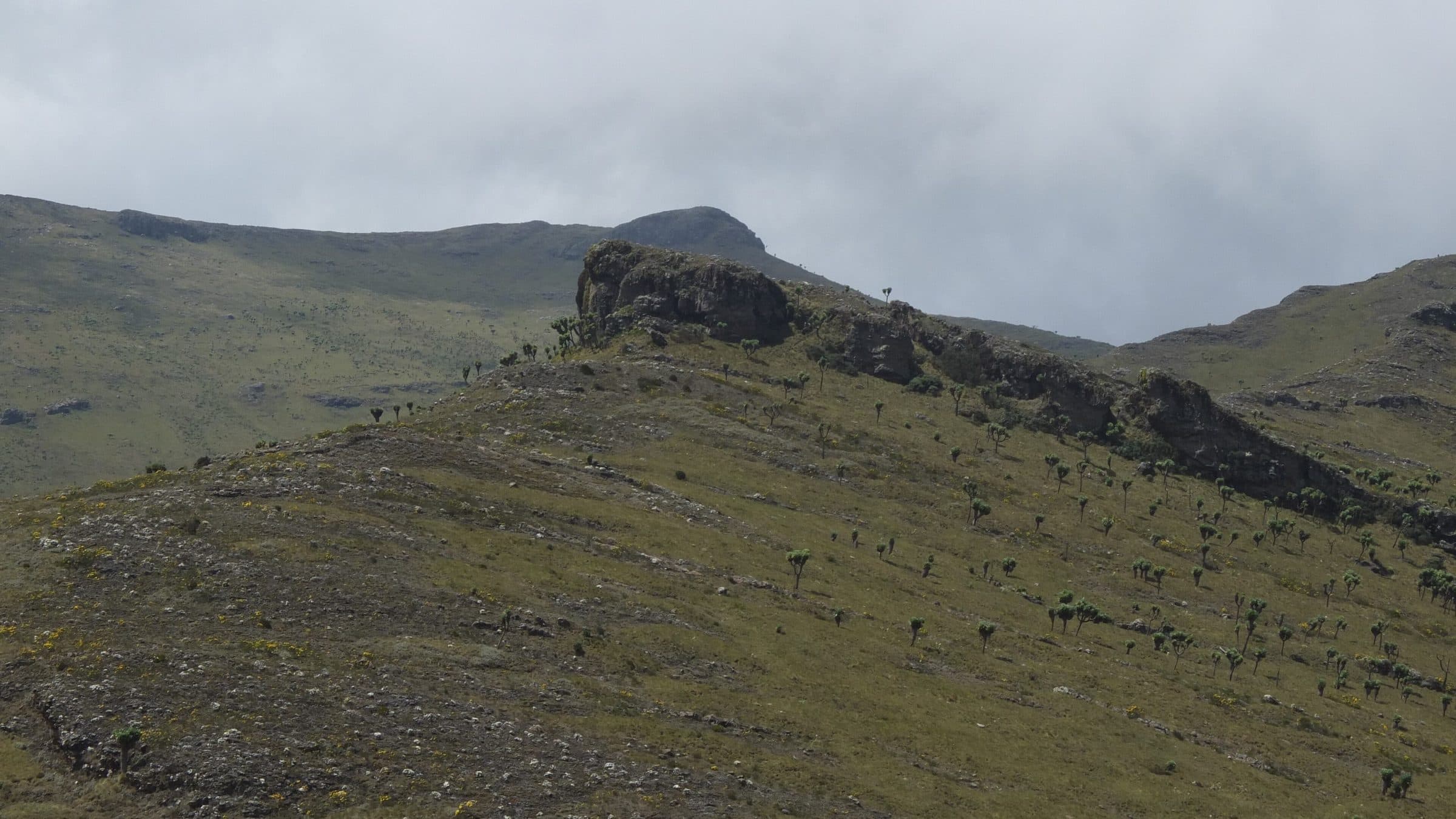 Moorland ridges on Mt. Satima in the Aberdare Range under a cloudy sky